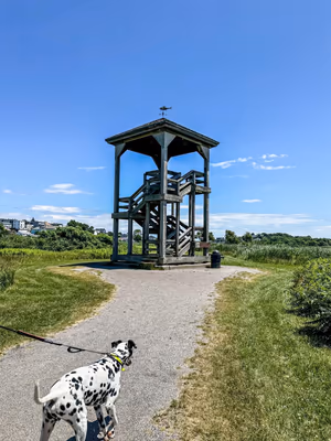 Belle Isle Bark Park photo 1